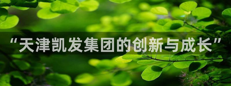 尊龙凯时首页