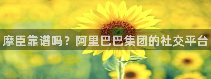pg尊龙凯时