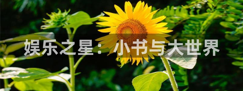 尊龙时凯链接叫什么