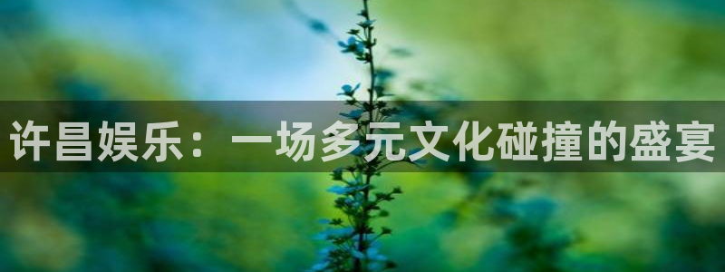 凯时尊龙网页登录