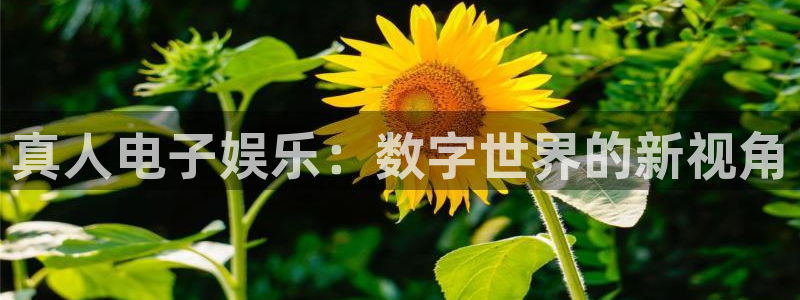 尊龙凯时人生就是博·(中国)