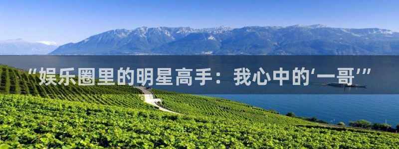 尊龙凯发人生就是搏官网登录