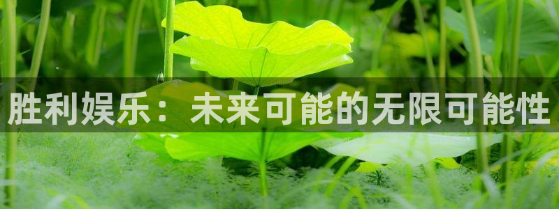 尊龙凯时登录入口