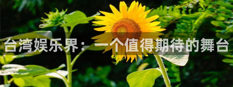 尊龙凯时人生就是博·(中国)