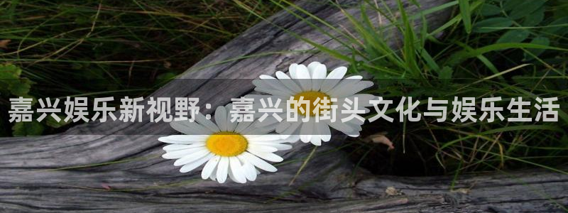 尊龙凯时人生官网入口网页版