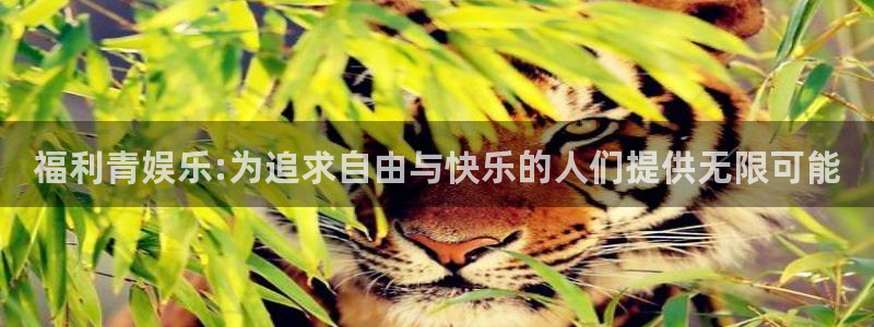 尊龙在线登录官网：福利青娱乐:为追求自由与快乐的人们提供无限可能