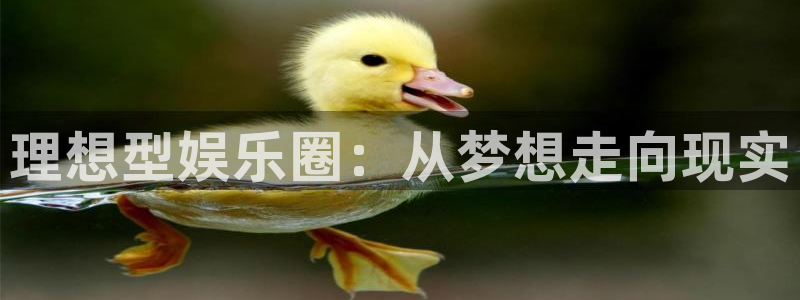 尊龙喜欢谁：理想型娱乐圈：从梦想走向现实