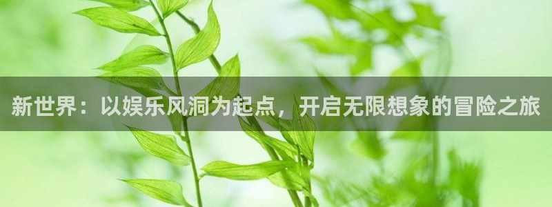 尊龙凯时登录：新世界：以娱乐风洞为起点，开启无限想象的冒险之旅
