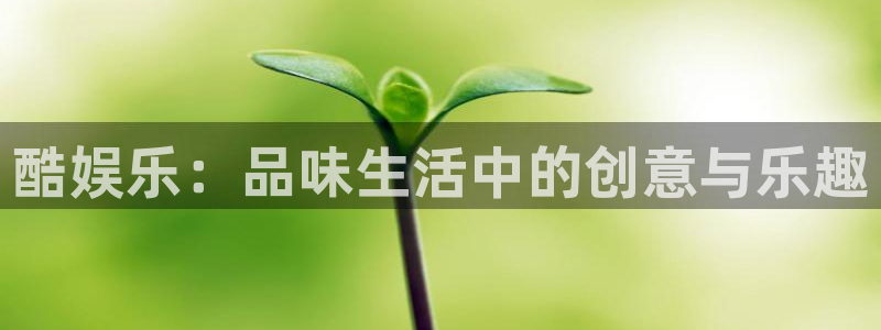 尊龙凯时入口：酷娱乐：品味生活中的创意与乐趣