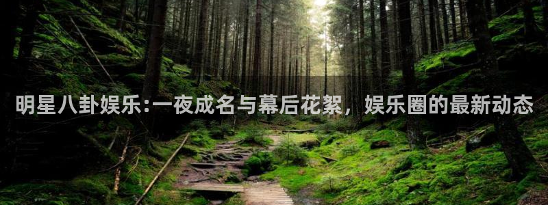 尊龙凯时中国官网入口下载：明星八卦娱乐:一夜成名与幕后花絮，娱乐圈的最新动态