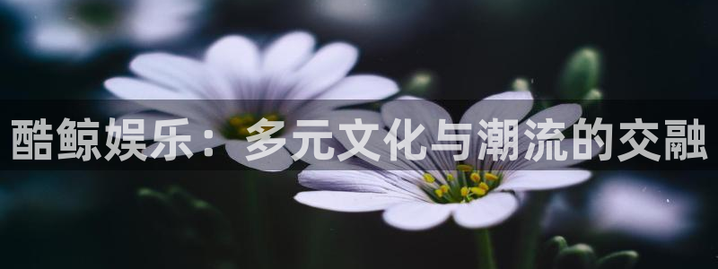 尊龙凯时最新平台：酷鲸娱乐：多元文化与潮流的交融
