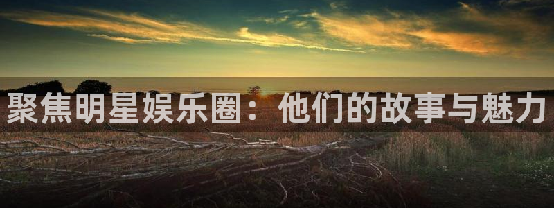 尊龙凯时中国：聚焦明星娱乐圈：他们的故事与魅力