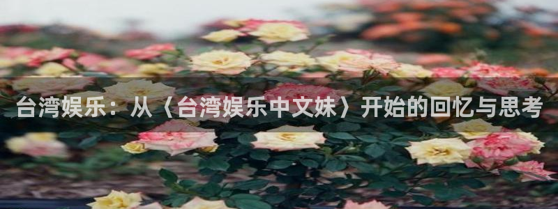 尊龙凯时app官网：台湾娱乐：从〈台湾娱乐中文妹〉开始的回忆与思考