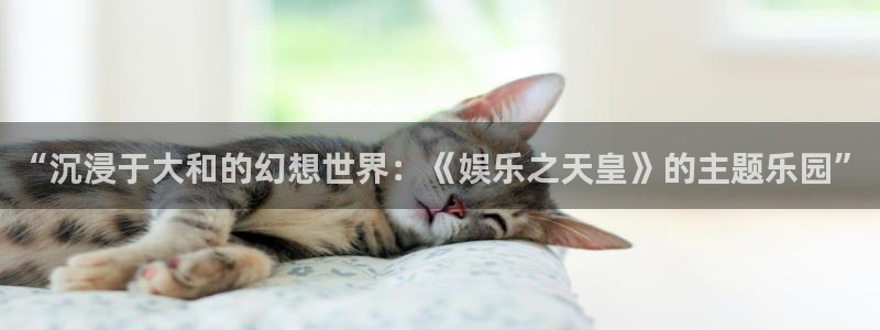 尊龙凯时人生官网登录入口：“沉浸于大和的幻想世界：《娱乐之天皇》的主题乐园”